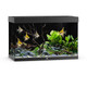 Juwel Rio 290 LED Aquarium and Cabinet Set - 77 Gallon - Classic Black