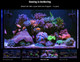 (DAMAGED BOX) 4-Part RCP Complete Reef Care Dosing System - Small (150L - 40 Gal) - Red Sea