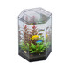 ProStar 12 Gallon Hexagon Acrylic Aquarium (15 Dia x 16") - Pro Clear