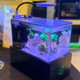 Small-In-One Nomad Portable Traveling Aquarium (0.5 Gallon) - PNW Custom