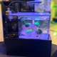 Small-In-One Nomad Portable Traveling Aquarium (0.5 Gallon) - PNW Custom