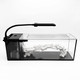 3.3 Gallon PNW Custom × Yee Mesh Lid Aquarium Bundle The Ultimate Peninsula Nano Reef