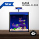 (OPEN BOX) Glass Small-In-One 1 Gallon Desktop Aquarium (Freshwater) - PNW Customs