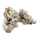 Genuine Fiji Pukani Rock (by the lb) - Marco Rocks