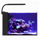 (OPEN BOX) Orbit Marine NANO LED Light w/Gooseneck Mount & Dynamic Controller - Current USA