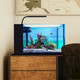 (OPEN BOX) Orbit Marine NANO LED Light w/Gooseneck Mount & Dynamic Controller - Current USA