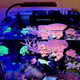 (OPEN BOX) Orbit Marine NANO LED Light w/Gooseneck Mount & Dynamic Controller - Current USA