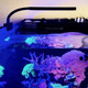 (OPEN BOX) Orbit Marine NANO LED Light w/Gooseneck Mount & Dynamic Controller - Current USA