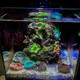 (OPEN BOX) Micro Reef Ready Tank (0.3 Gallon) Standard (WHITE) - PNW Customs