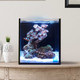 (OPEN BOX) 10 Gallon Fusion Pro 2  Bundle AIO Aquarium (0205-P) - Innovative Marine