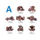 Ecoscape Reef Mix A - Aquatropic