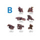 Ecoscape Reef Mix B - Aquatropic