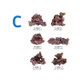Ecoscape Reef Mix C - Aquatropic