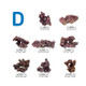 Ecoscape Reef Mix D - Aquatropic