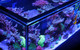 REEF-FRAME 170 - 46 Gallon White Euro-Braced Aquarium - Red Sea