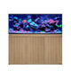 REEF-FRAME 500 - 136 Gallon Oak Euro-Braced Aquarium - Red Sea