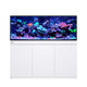 REEF-FRAME MAX 500 - 136 Gallon White Euro-Braced Aquarium - Red Sea