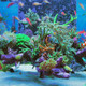 Reef360 Rotating Reef Rock - Tunze