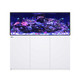 Reefer MAX 625 G3+ White All In One Aquarium - Red Sea 