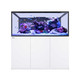 Reefer MAX S-700 G3+ White All In One Aquarium - Red Sea 