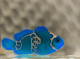 Electric Blue Phantom Designer Clownfish (A.photoshopellaris)