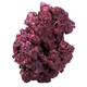 Real Reef Rock (by the pound) - Mixed Sizes - Real Reef