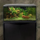 FLEX Freshwater Aquarium Kit, 123 L (32.5 US Gal), Black - Fluval