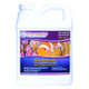 One & Only Reef Live Nitrifying Bacteria (32 oz) 480 Gallons - Dr Tim's