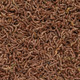 Freeze Dried Bloodworms Fish Food (1 oz) - San Francisco Bay Brand