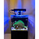 Acrylic Small In One 1 Gallon Desktop SALTWATER Aquarium (Black) - PNW Customs