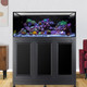 INT 150 Lagoon Aquarium w/ APS Stand - Black (Made to Order) - Innovative Marine