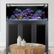 INT 170 Aquarium w/ APS Stand - Black (Made to Order) - Innovative Marine