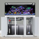 INT 170 Gallon Complete Reef System – White - Innovative Marine