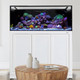 INT 170 Gallon Complete Reef System – White (Made To Order) - Innovative Marine