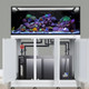 INT 170 Gallon Complete Reef System – White (Made To Order) - Innovative Marine