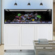 EXT 200 Aquarium w/ APS Stand - White (Made to Order) - Innovative Marine