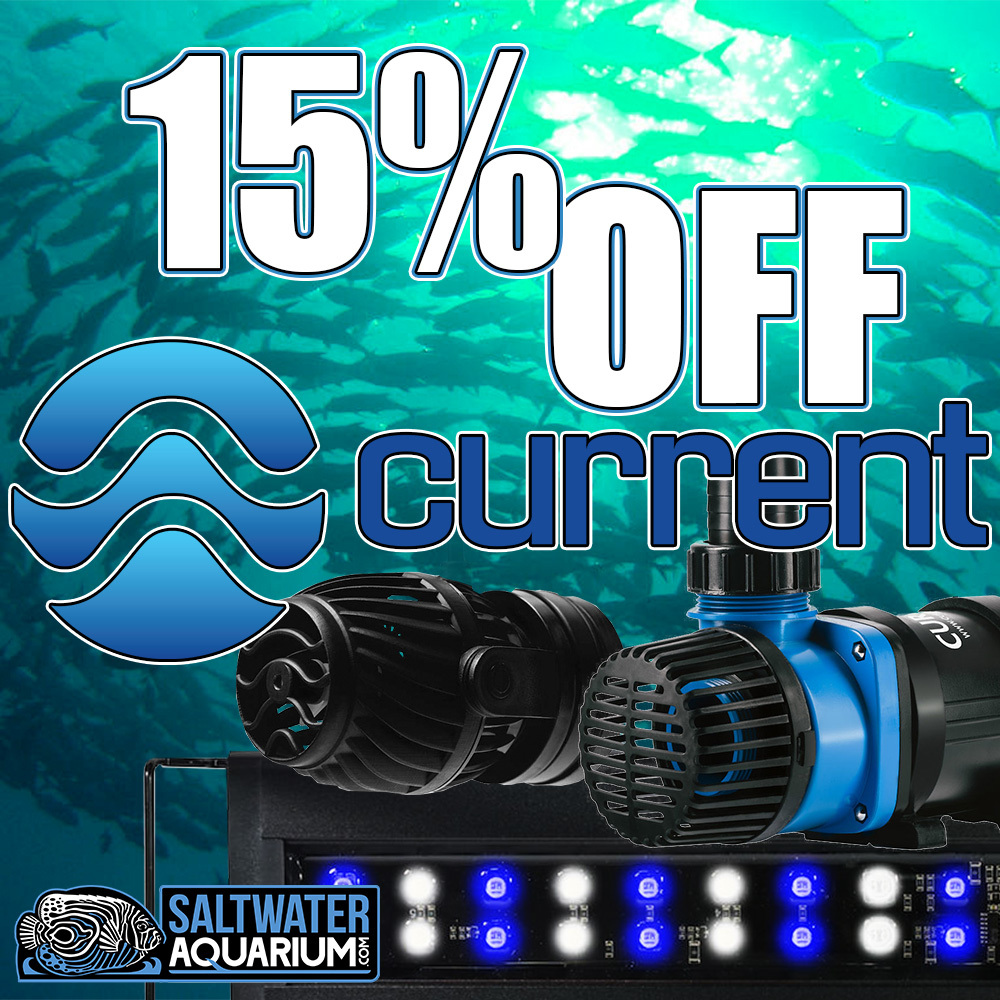 (未使用･未開封品)　Exotic Saltwater Aquarium [Blu-ray] [Import] sdt40b8 Tokyo's Most Amazing & Unusual Aquarium Shop - YouTube