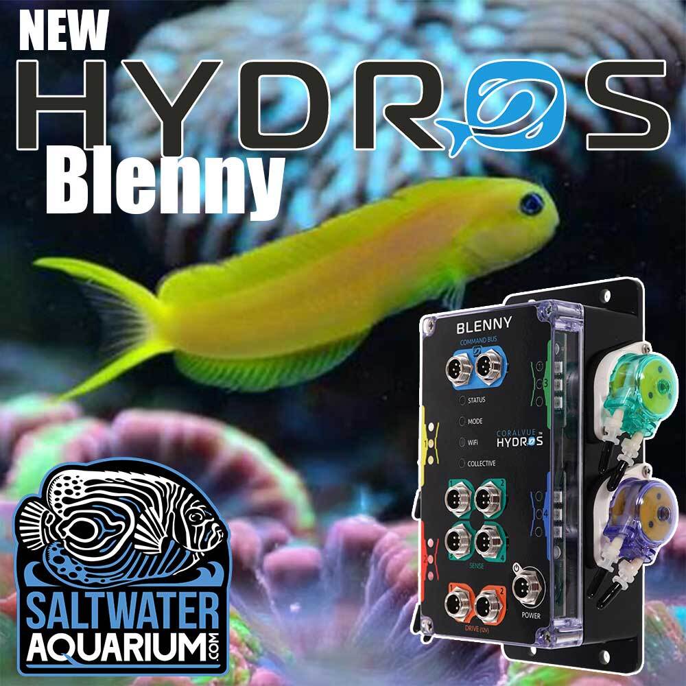 (未使用･未開封品)　Exotic Saltwater Aquarium [Blu-ray] [Import] sdt40b8 Amazon.com: zhuzhu Aquarium Submarine Set with Blue Tang