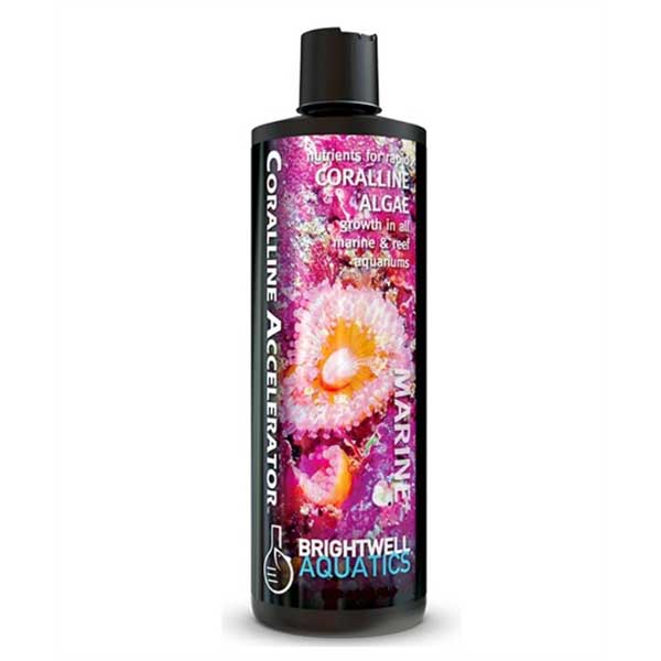 Coralline Accelerator (500mL) - Brightwell - SaltwaterAquarium.com