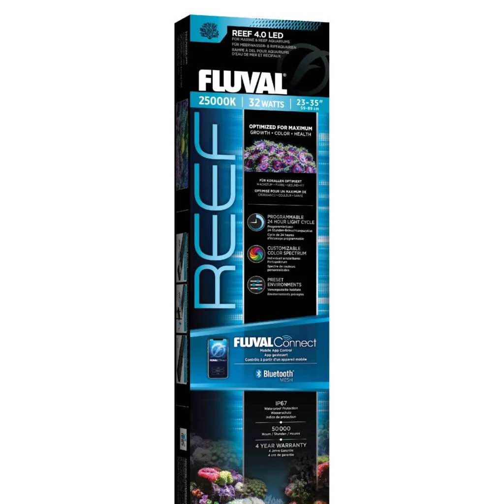 reef__24272.1758652525.jpg?c=2