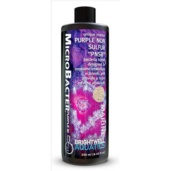 microbacterpurple250__94069.