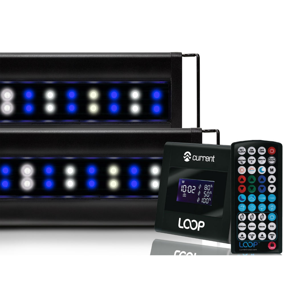 Orbit-Marine-IC-PRO-LED-
