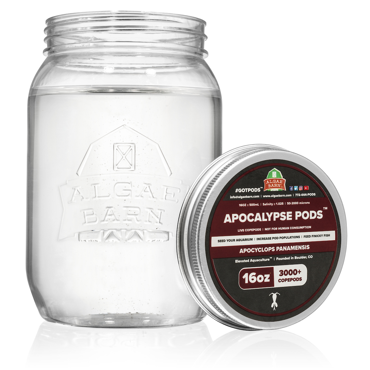 Pods Apocalypse 12000+ (64 oz) Live Copepods (Apocyclops