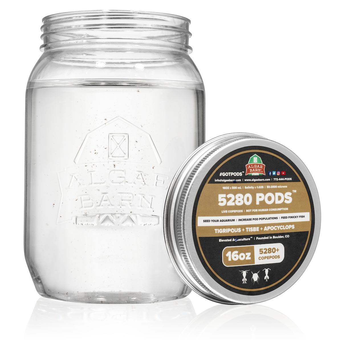 5280-Pods-16oz__15486.