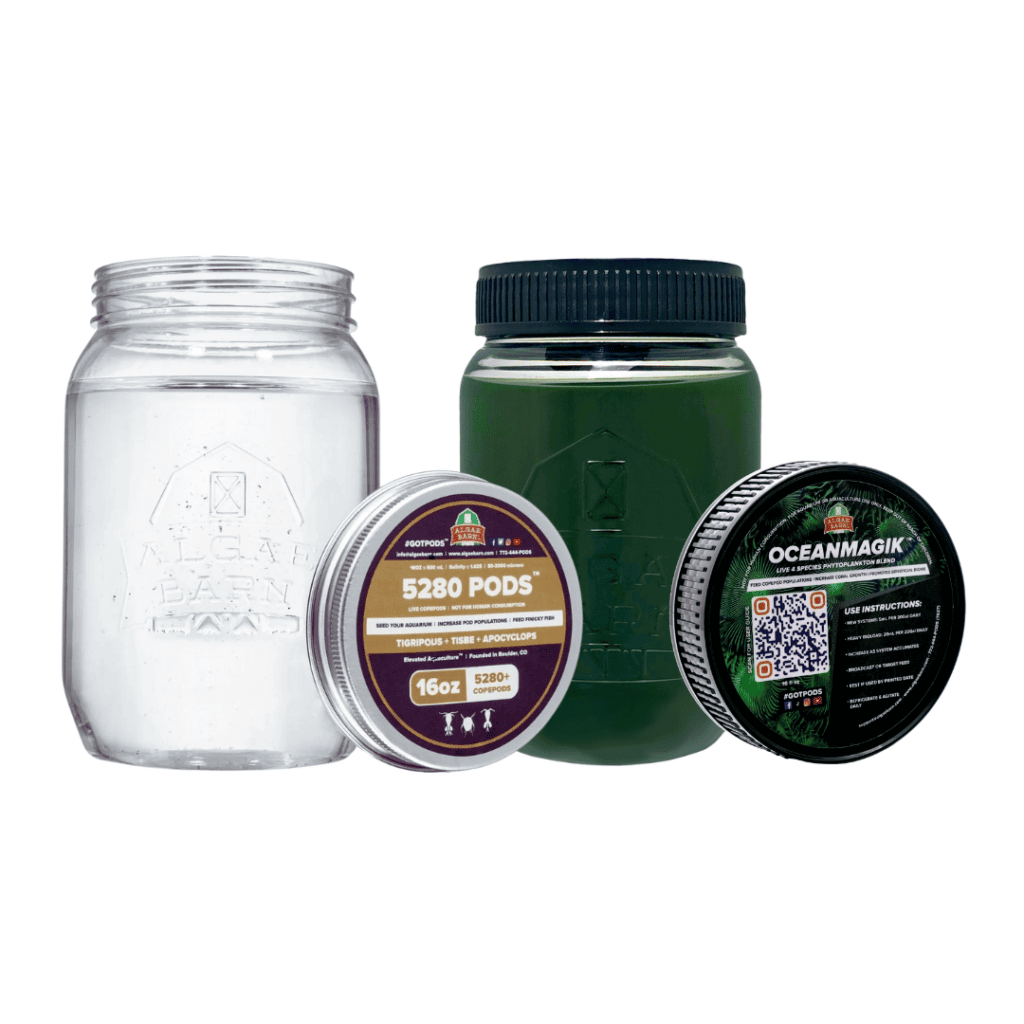 カルピス358　【未使用品】AL MERRIC THE POD 5280-PHYTO-COMBO-OM-JAR-DRAFT-
