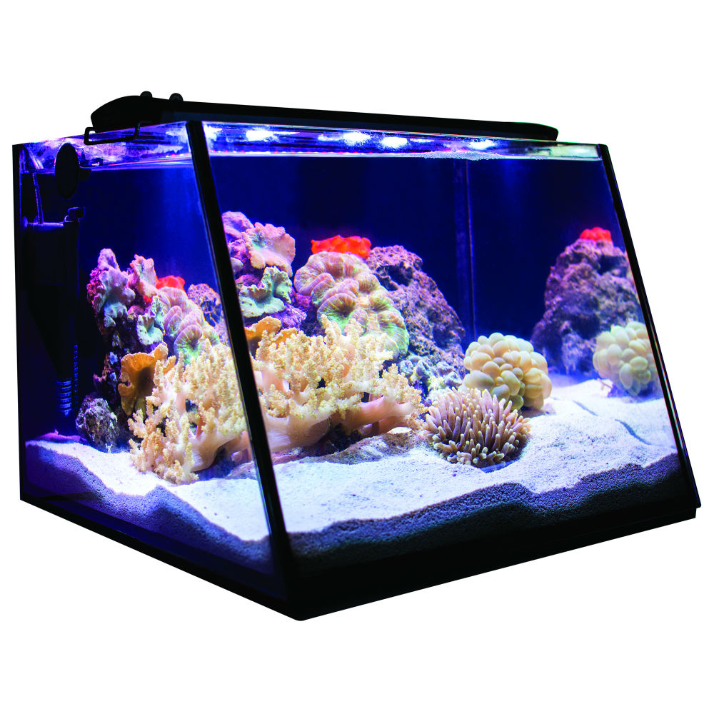 Full View Aquarium (5 Gallon) Tank Only - Lifegard
