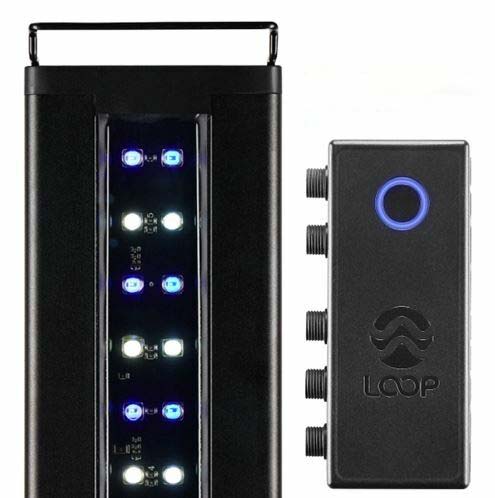 LED電球　AZURE ORBIT AZURE ORBIT | Well Lit ONLINE STORE | ウェルリット日本公式