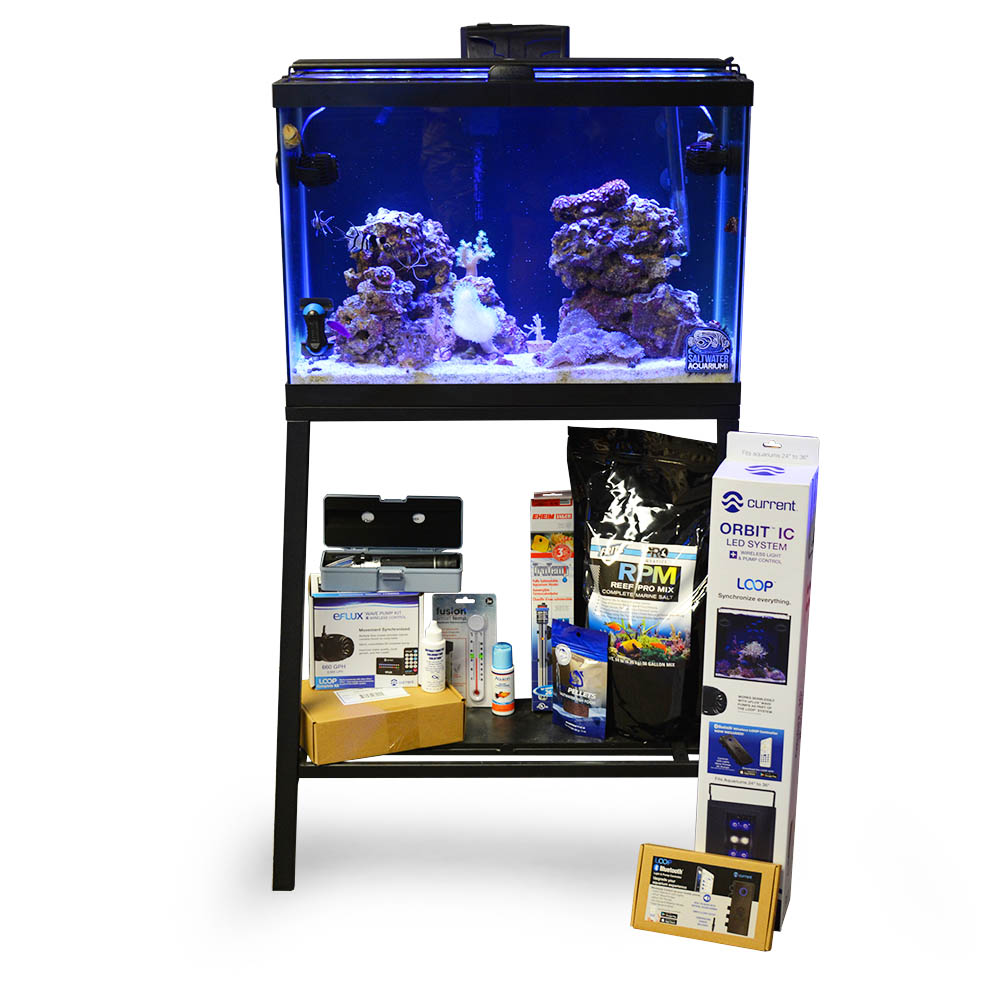 Complete saltwater shop aquarium kit