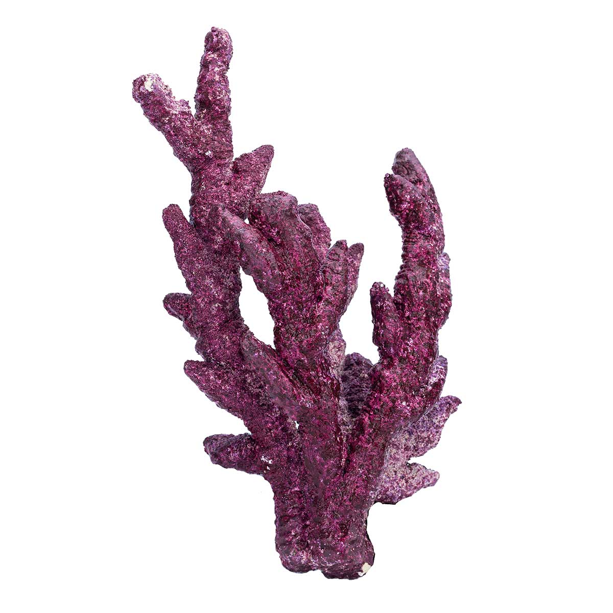 purple branching coral