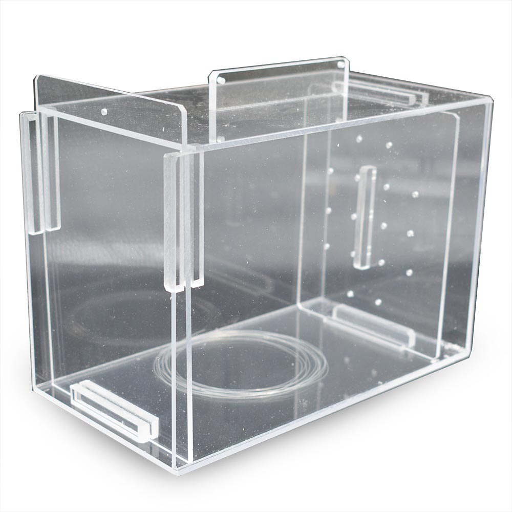 SaltwaterAquarium Small Acrylic Fish & Pest Trap 6 x 4 x 4 for